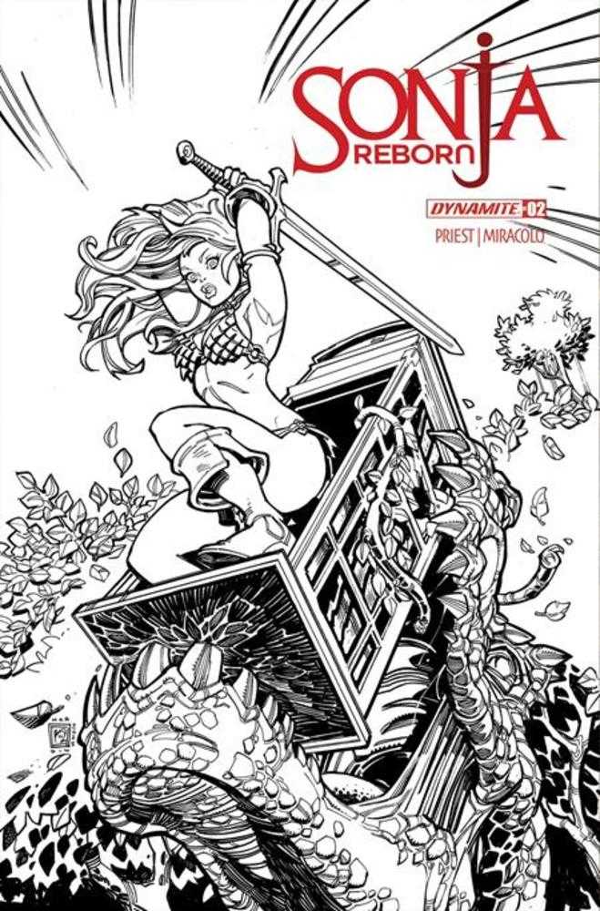 Sonja Reborn #2 Cover H Chad Hardin Line Art 1:10 Ratio Variant