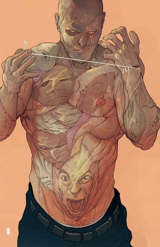 Exquisite Corpses #9 Cover E 1:25 Christian Ward Full Art Variant (Mature)