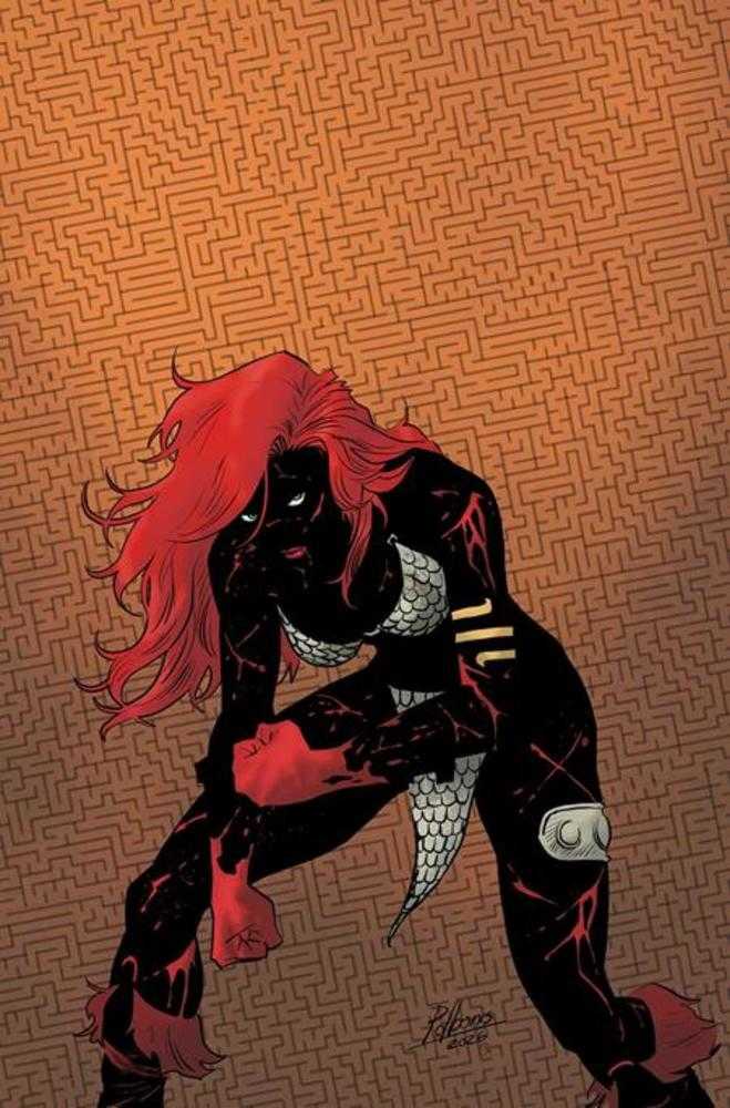 Red Sonja She Devil With A Sword #3 Cover O Inc Pablo De Bonis Absolute Homage Full Art 1:7 Ratio Variant
