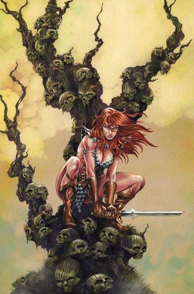 Red Sonja She Devil With A Sword #5 Cover I Mike Rooth Full Art 1:10 Ratio Variant