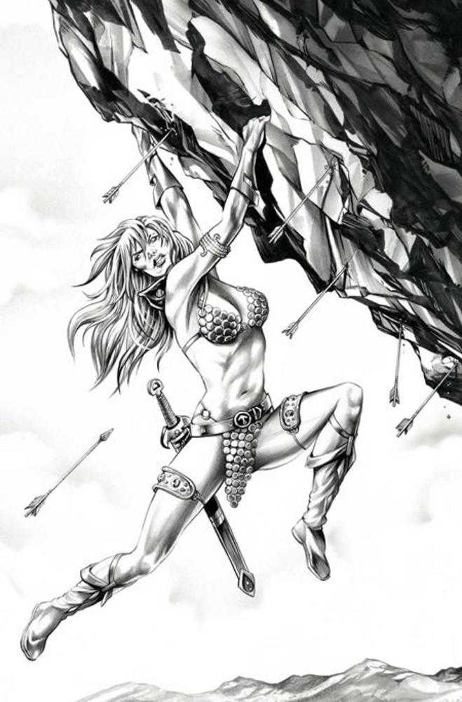 Red Sonja She Devil With A Sword #4 Cover N Mike Rooth Black & White Full Art 1:7 Ratio Variant