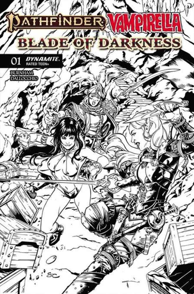 Pathfinder Vampirella Blade Of Darkness #1 Cover H Steven Cummings Line Art 1:10 Ratio Variant
