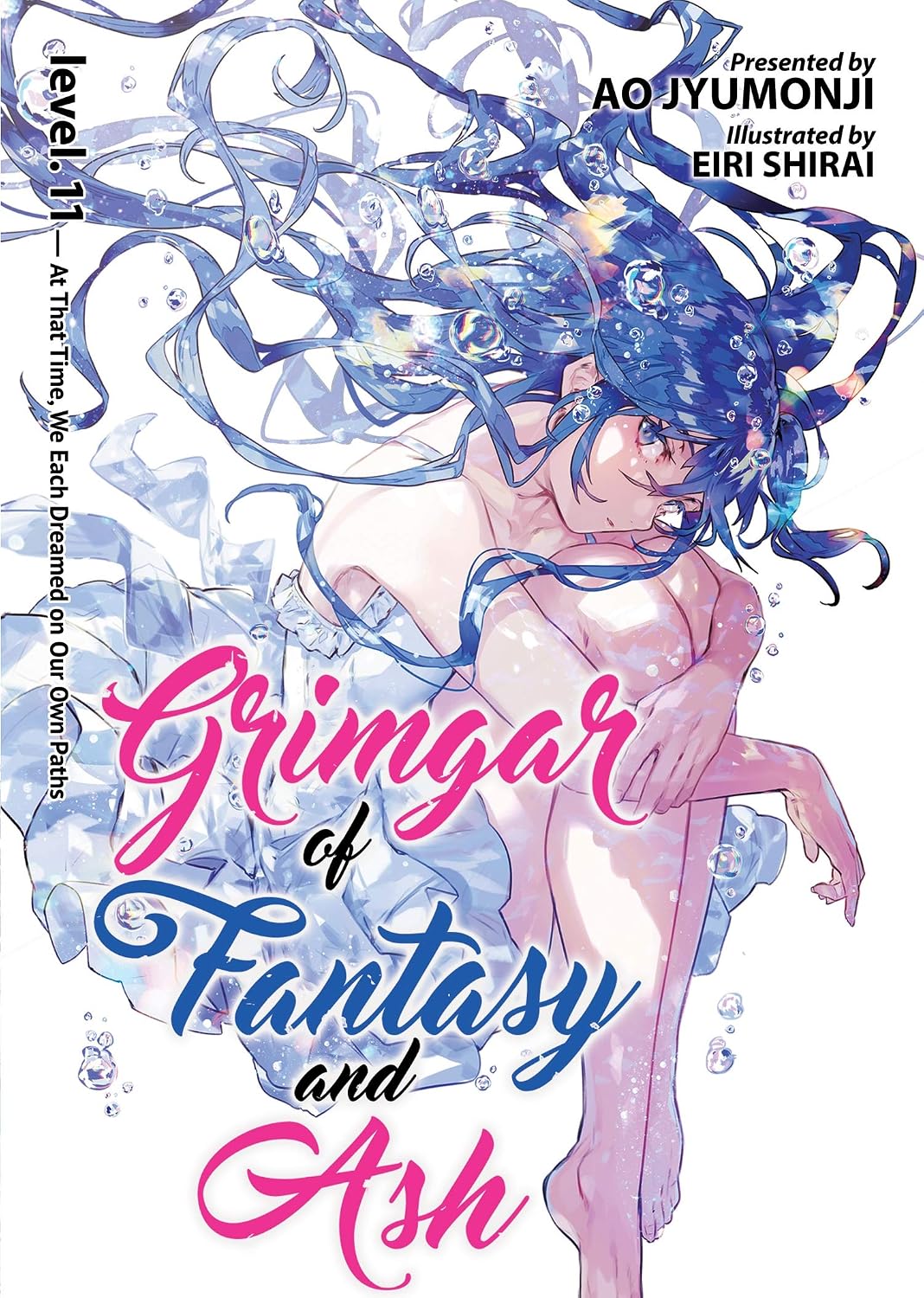 Grimgar Of Fantasy And Ash (Light Novel) Vol. 11