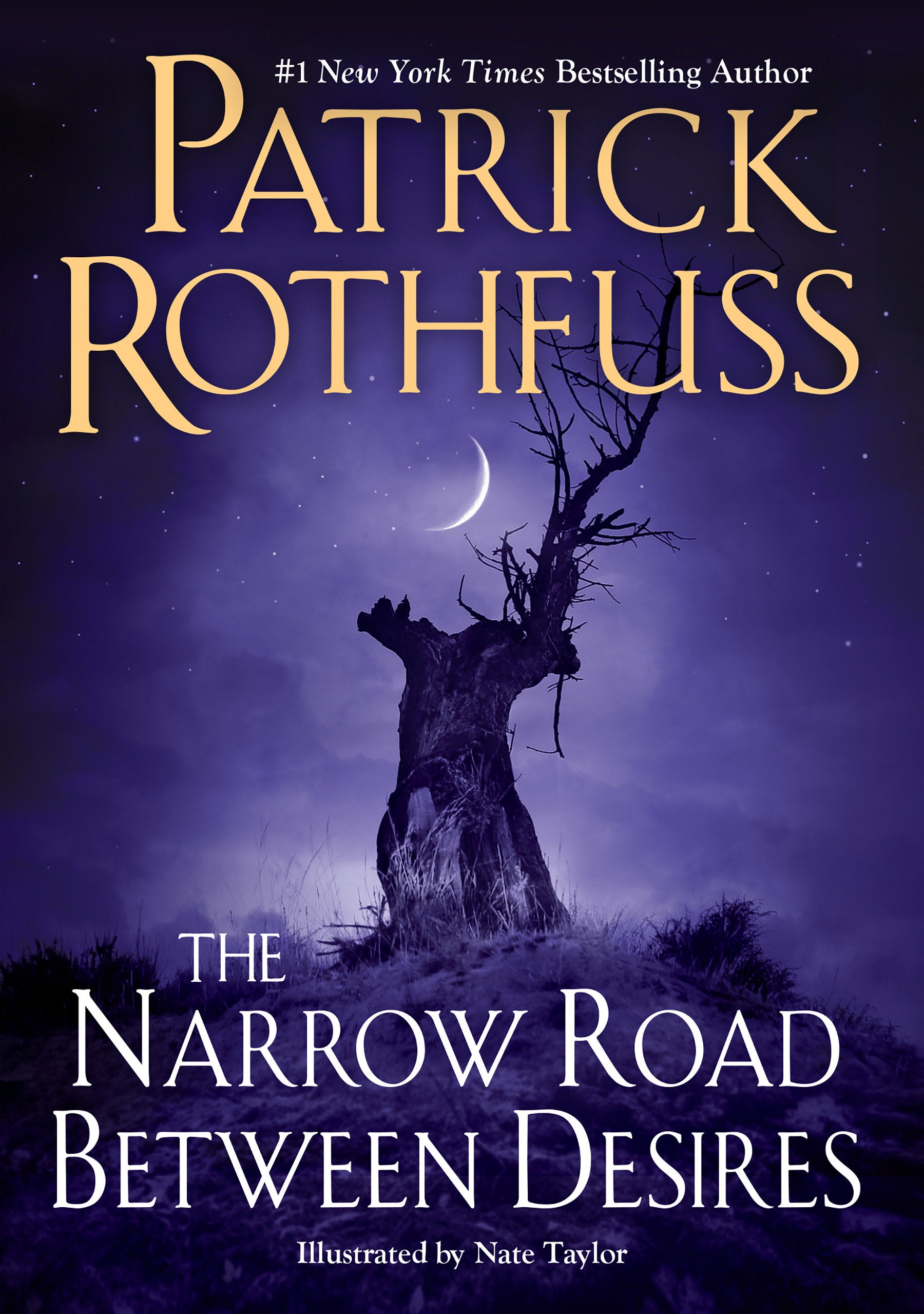 The Narrow Road Between Desires by Patrick Rothfuss (Novel)