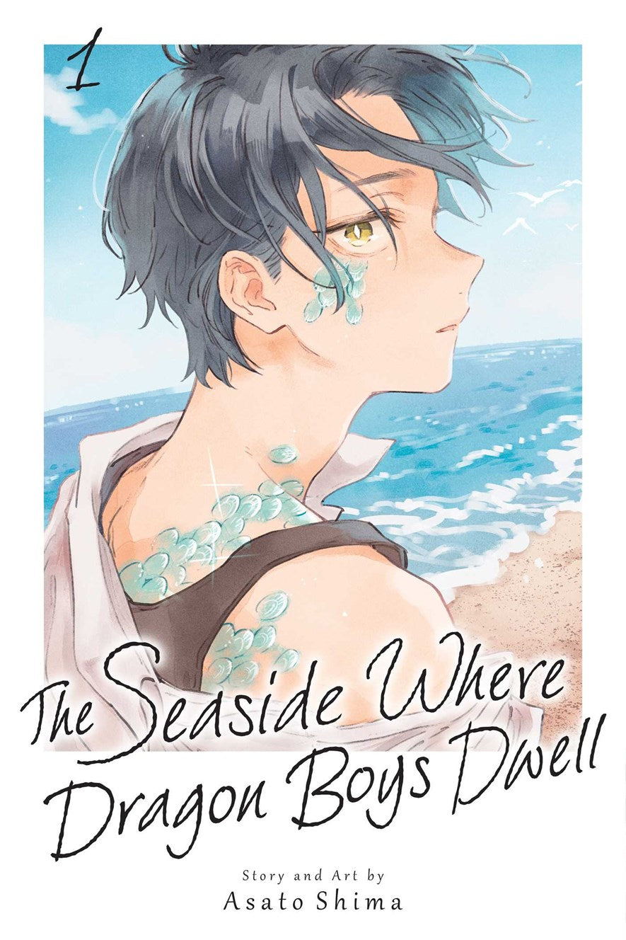 The Seaside Where Dragon Boys Dwell Vol 1 *PRE-ORDER*