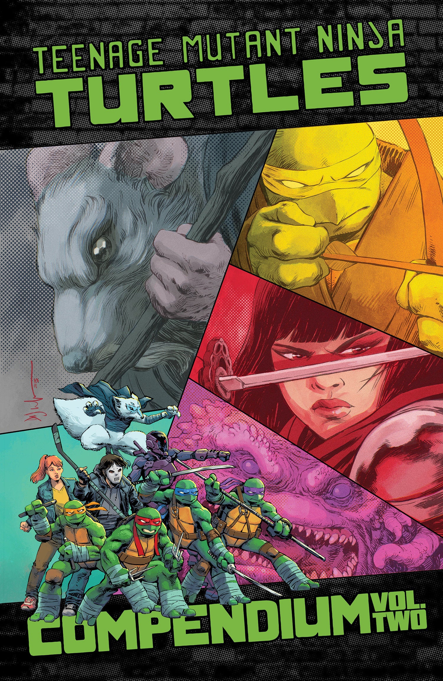 Teenage Mutant Ninja Turtles: Ongoing Compendium, Vol. 2 TP *PRE-ORDER*