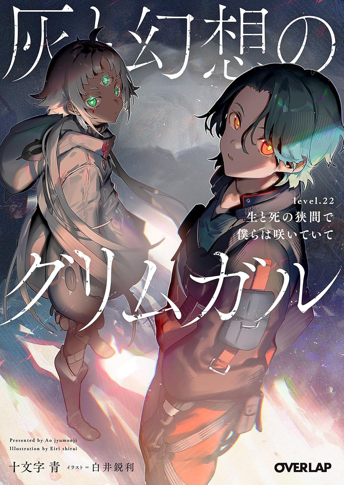 Grimgar Of Fantasy And Ash (Light Novel) Vol. 22 *PRE-ORDER*