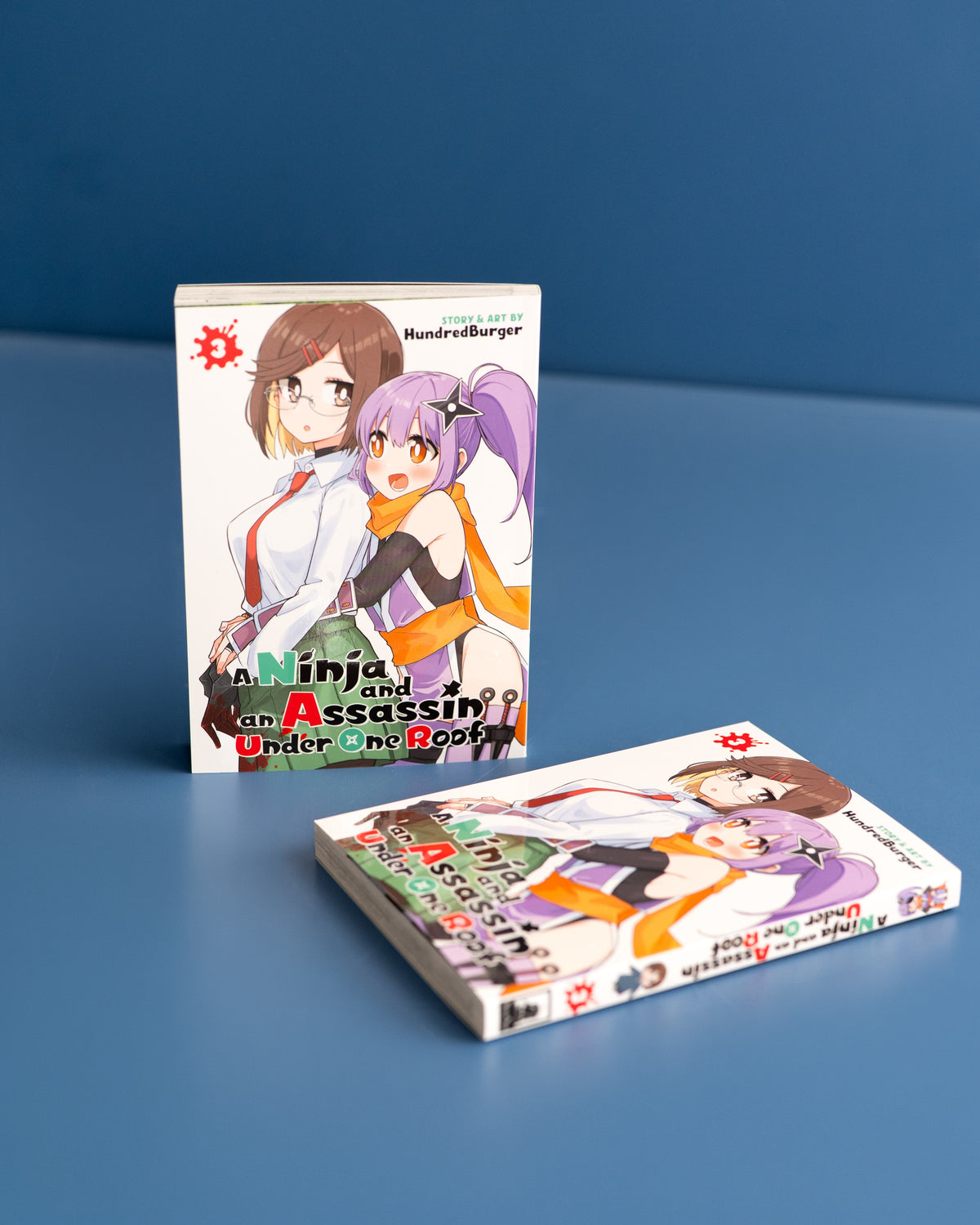 A_Ninja_And_An_Assassin_Under_One_Roof_Vol._3_9798895619391