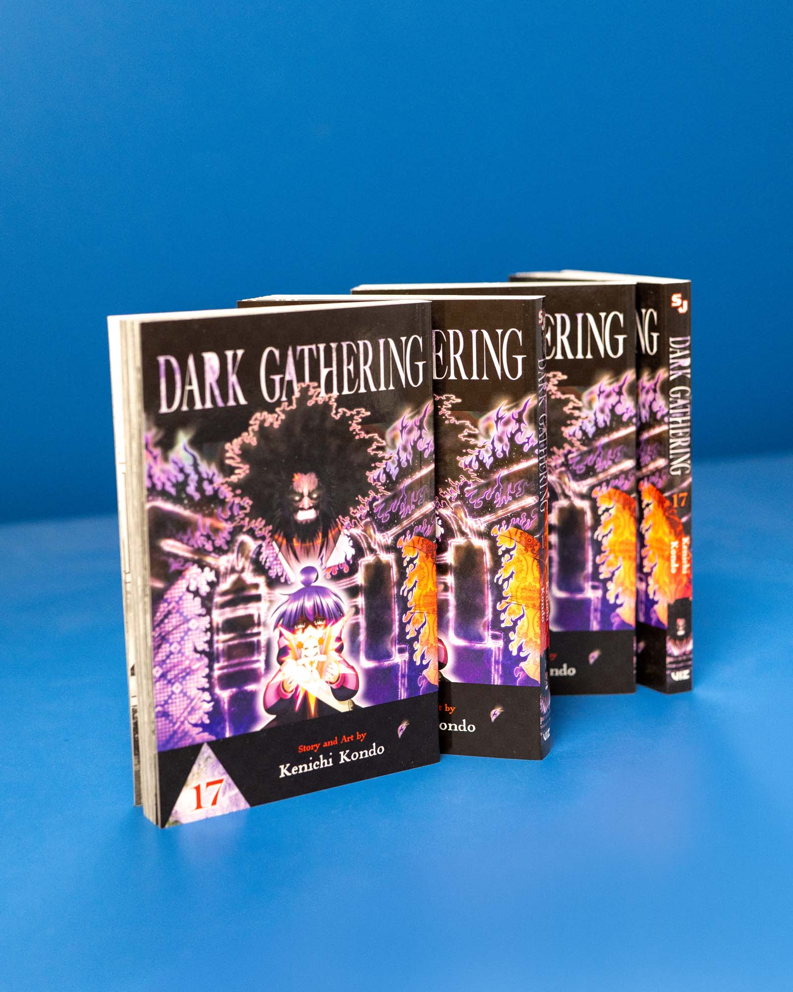 Dark_Gathering_Vol_17_9781974761258