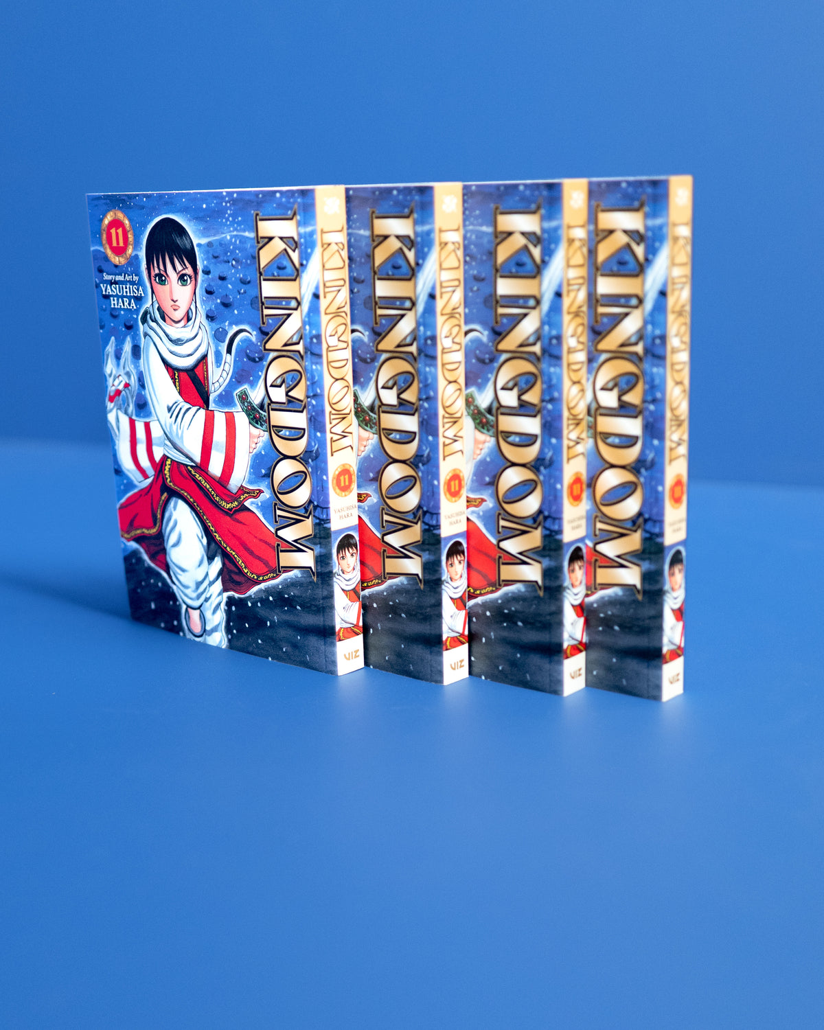 Kingdom_Vol_11_9781974761395