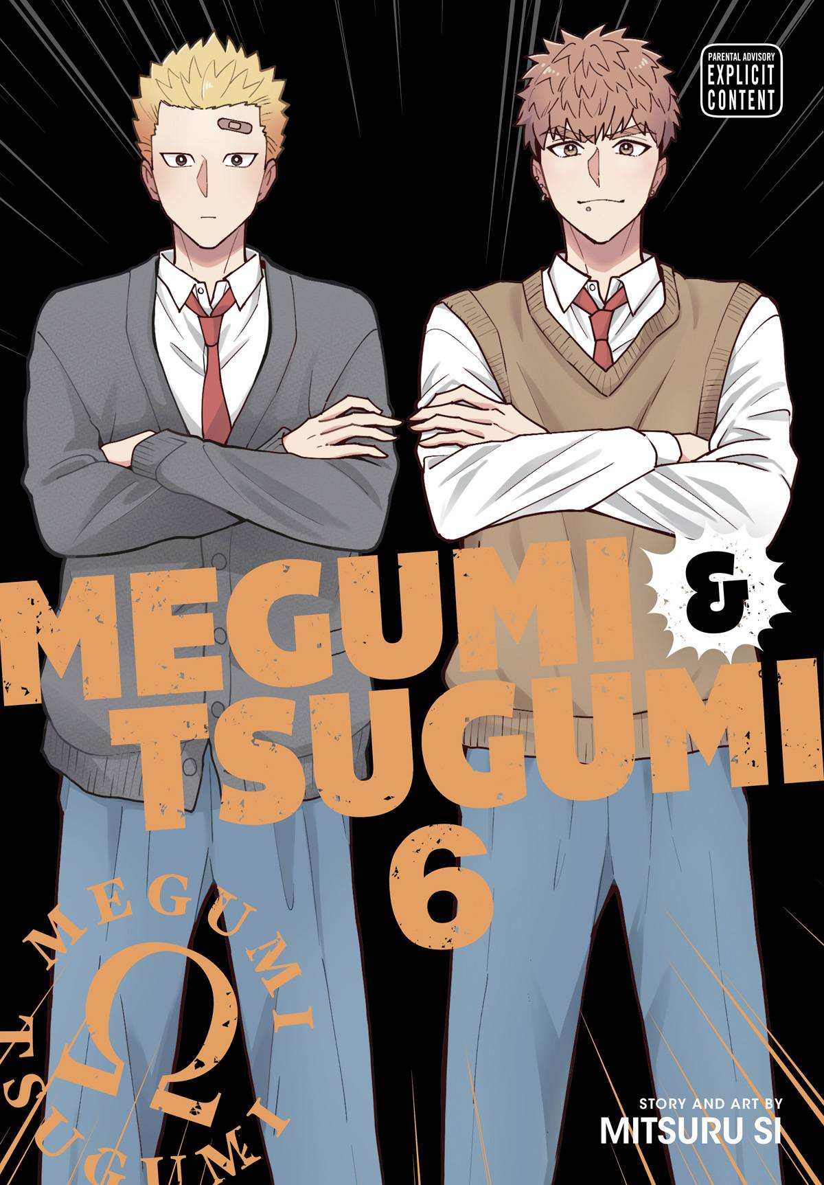 Megumi & Tsugumi GN Vol 06 *PRE-ORDER*
