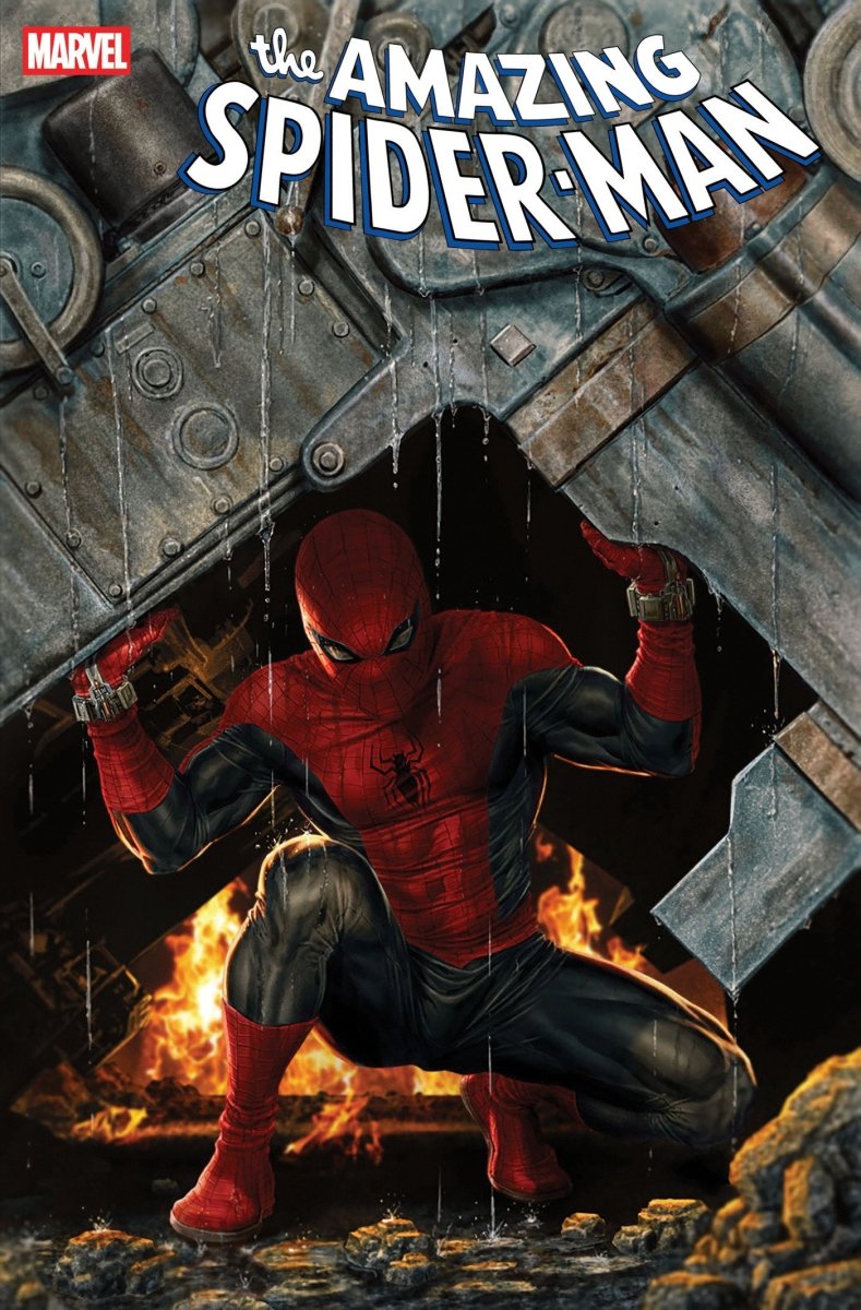 Amazing Spider - Man 14 Lee Bermejo Amazing Visions Variant - Walt's Comic Shop