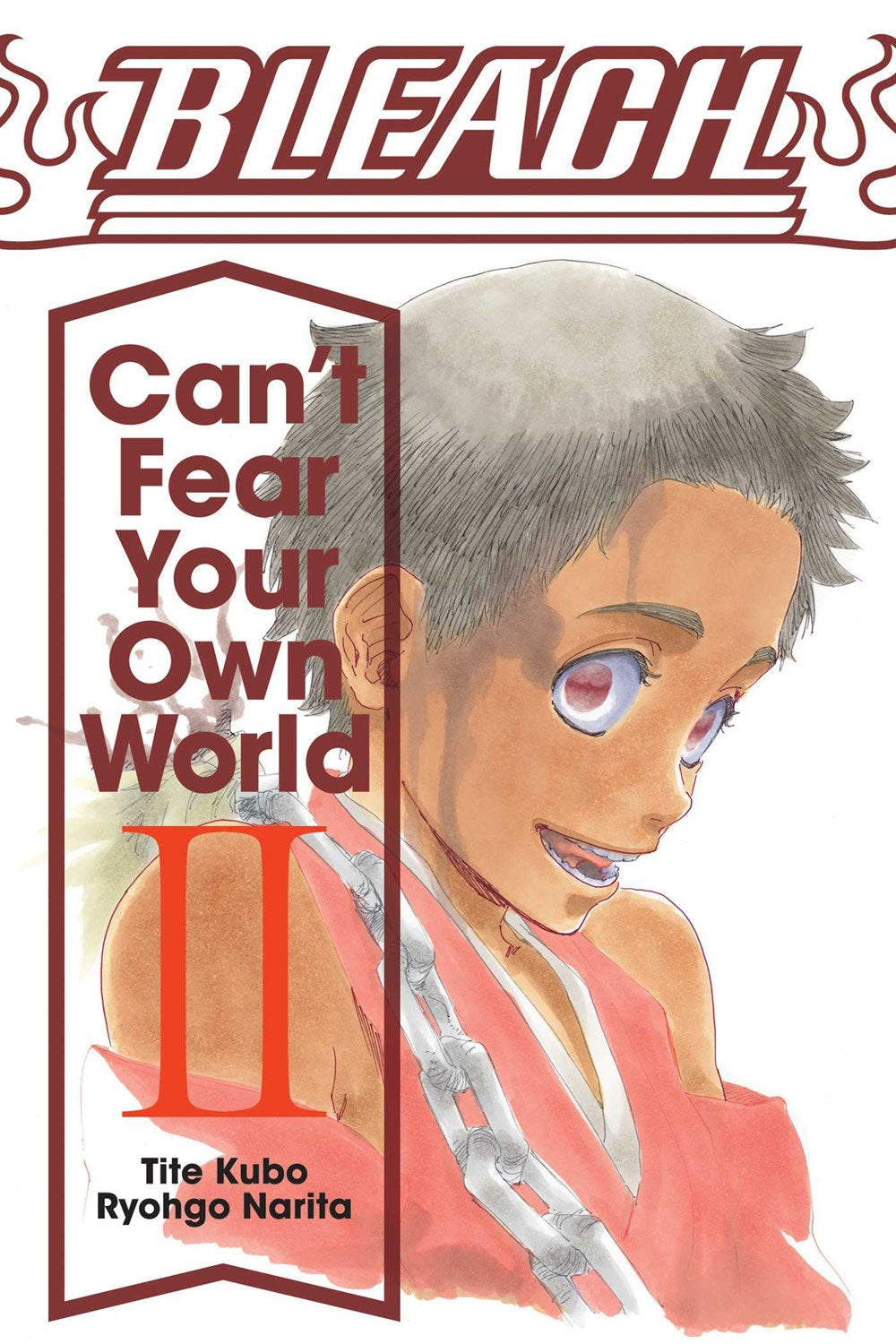 Bleach: Can't Fear Your Own World Vol 02 (Light Novel)