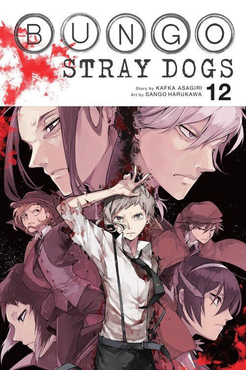 Bungo Stray Dogs Vol 12 - Walt's Comic Shop