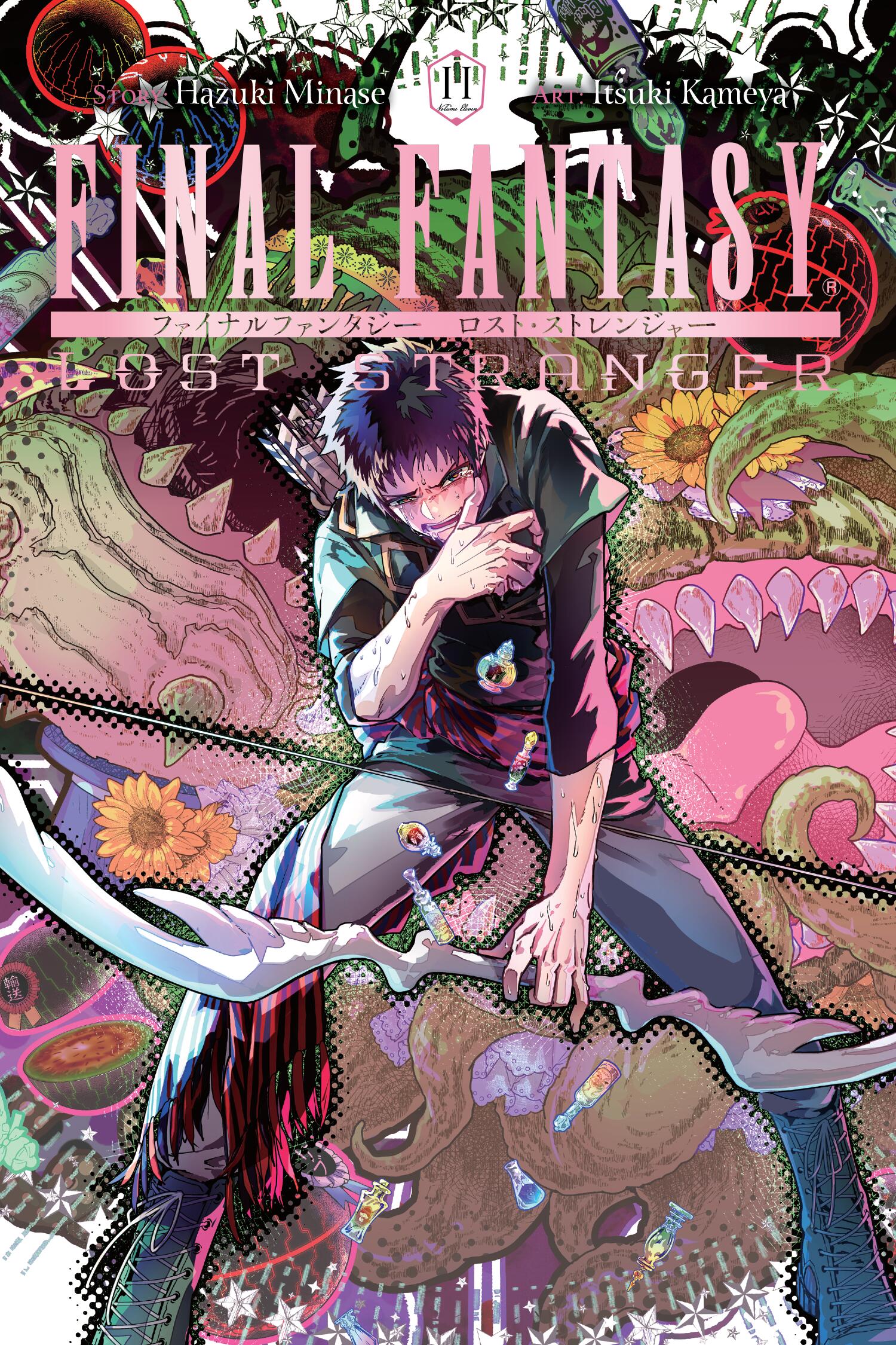 Final Fantasy Lost Stranger Vol 11