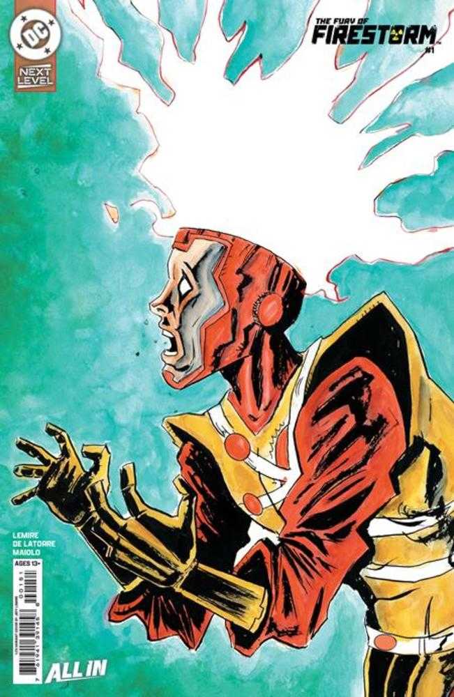 Fury Of Firestorm 1 (Of 6) Cover G Jeff Lemire Card Stock 1:25 Ratio Variant - Walt's Comic Shop