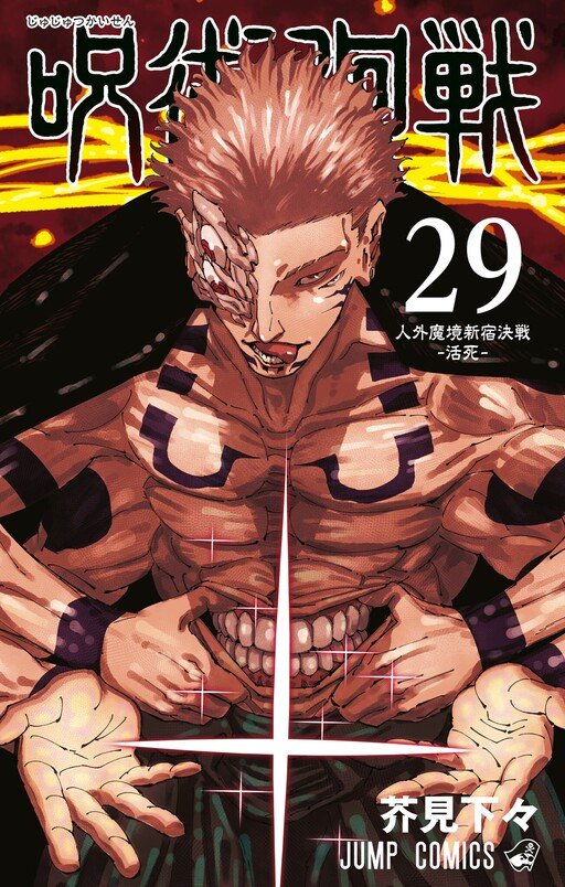 Jujutsu Kaisen Vol 29 *PRE - ORDER* - Walt's Comic Shop