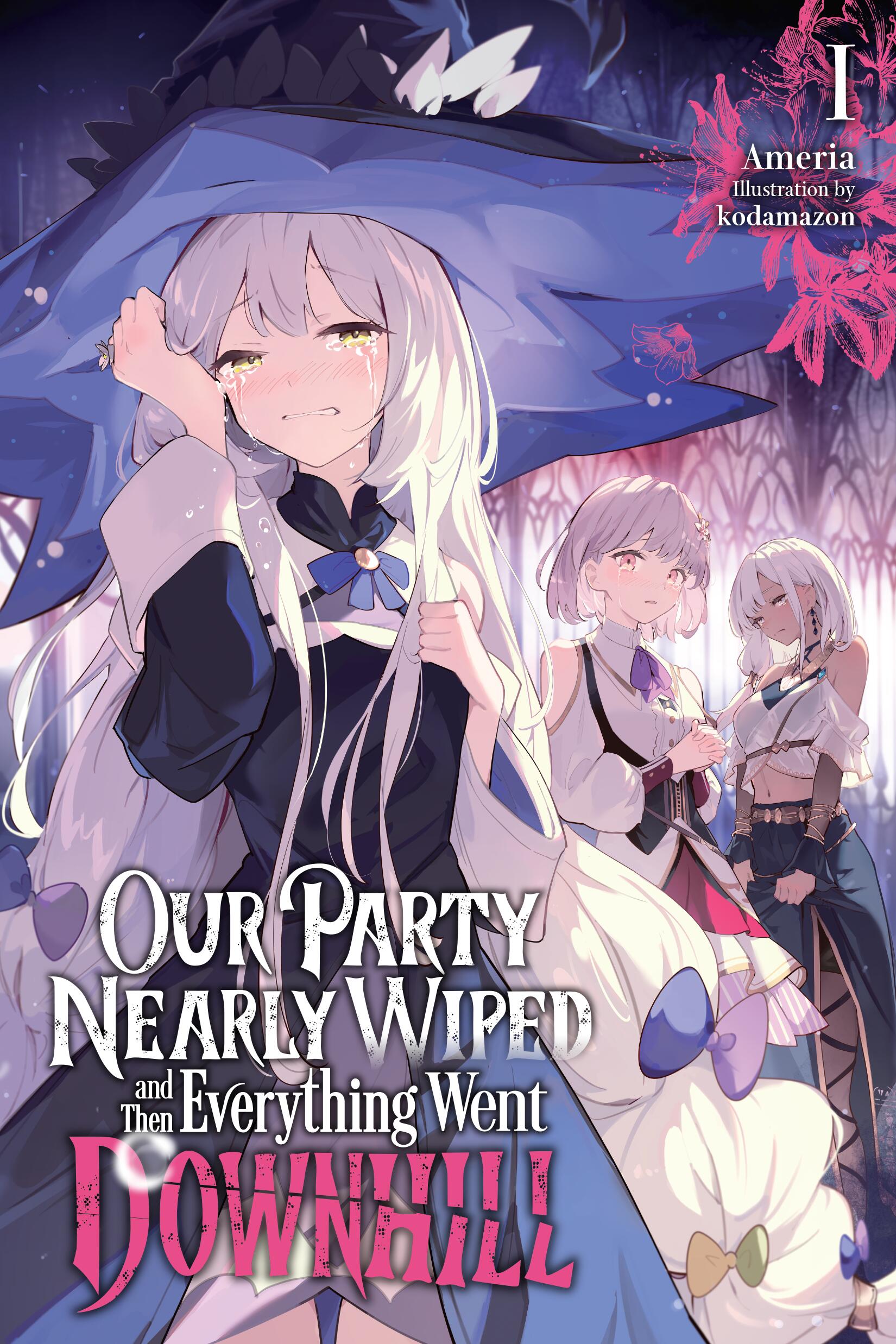 Our Party Nearly Wiped and Then Everything Went Downhill Vol 01 (Light Novel) *PRE-ORDER*