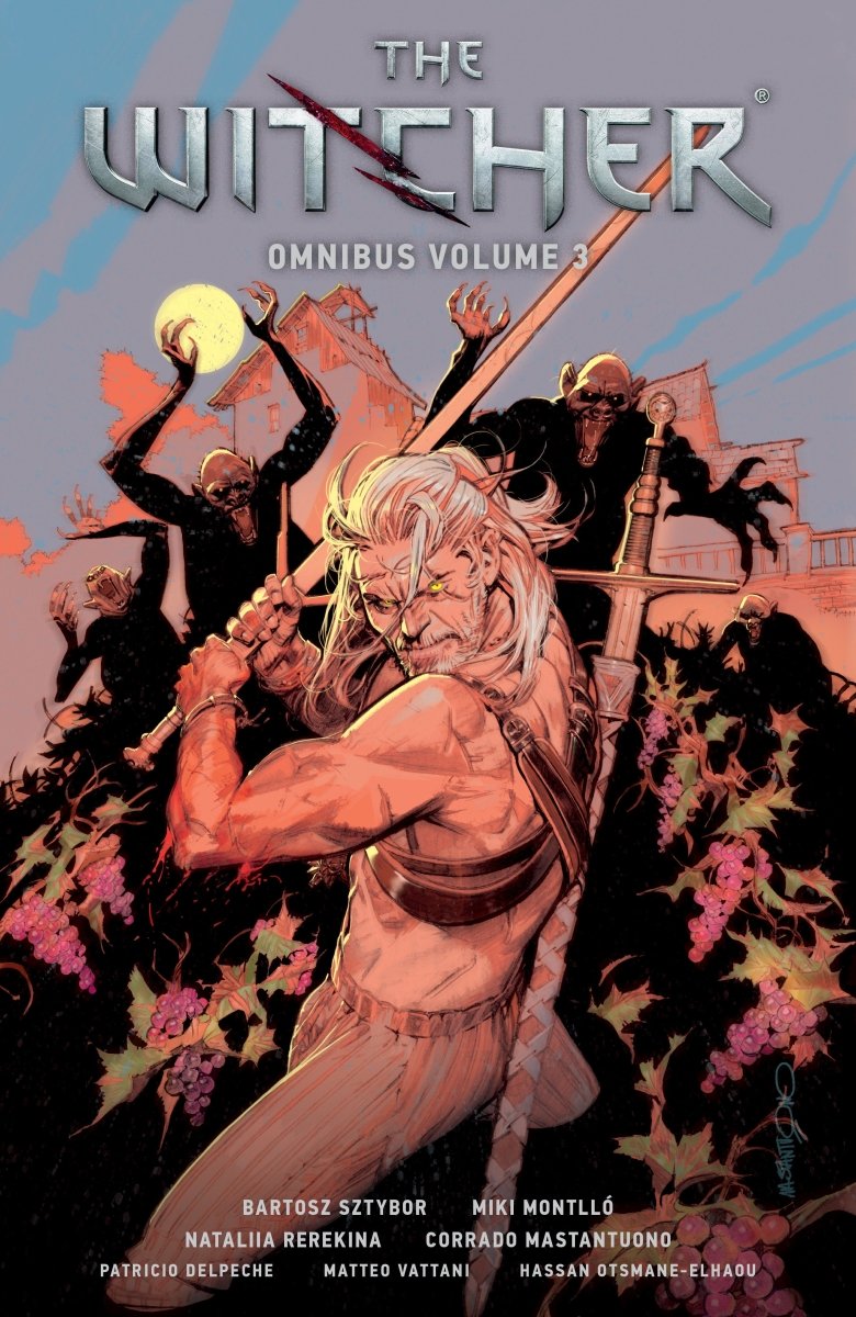 The Witcher Omnibus Volume 3 TP *PRE - ORDER* - Walt's Comic Shop