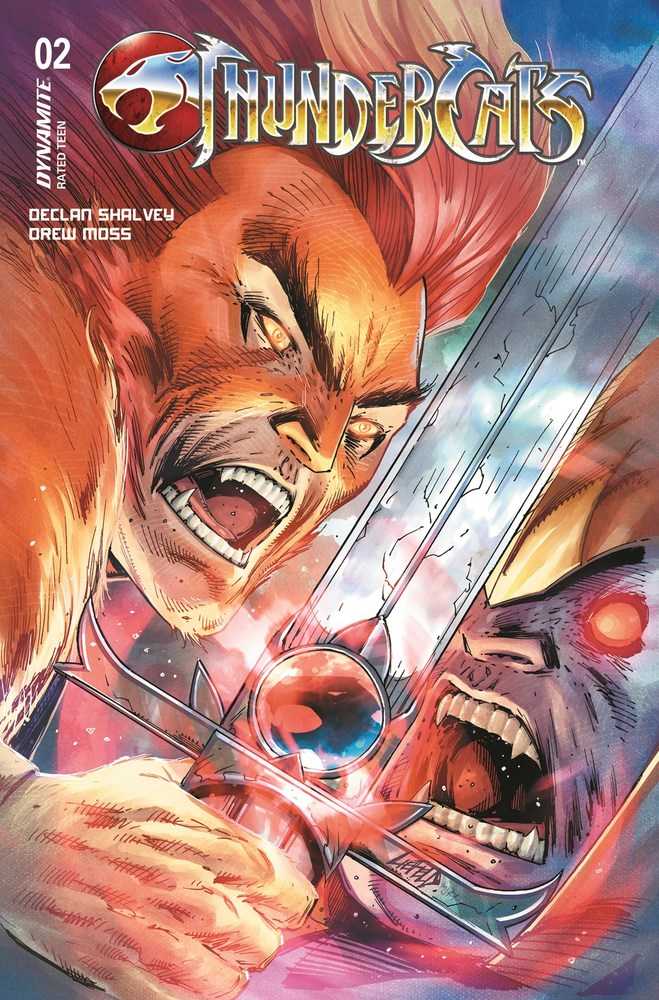 Thundercats #2 Cover W Foc Liefeld Original - Walt's Comic Shop
