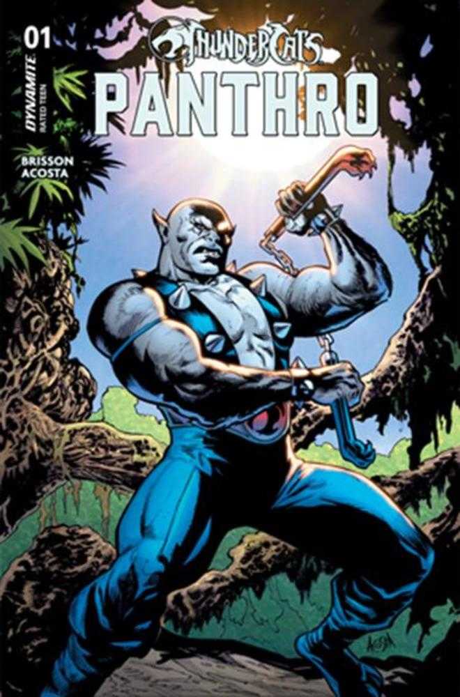 Thundercats Panthro 1 Cover A Dave Acosta - Walt's Comic Shop