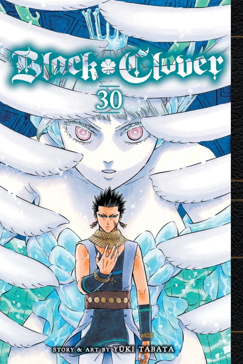 Black Clover GN Vol 30 - Walt's Comic Shop