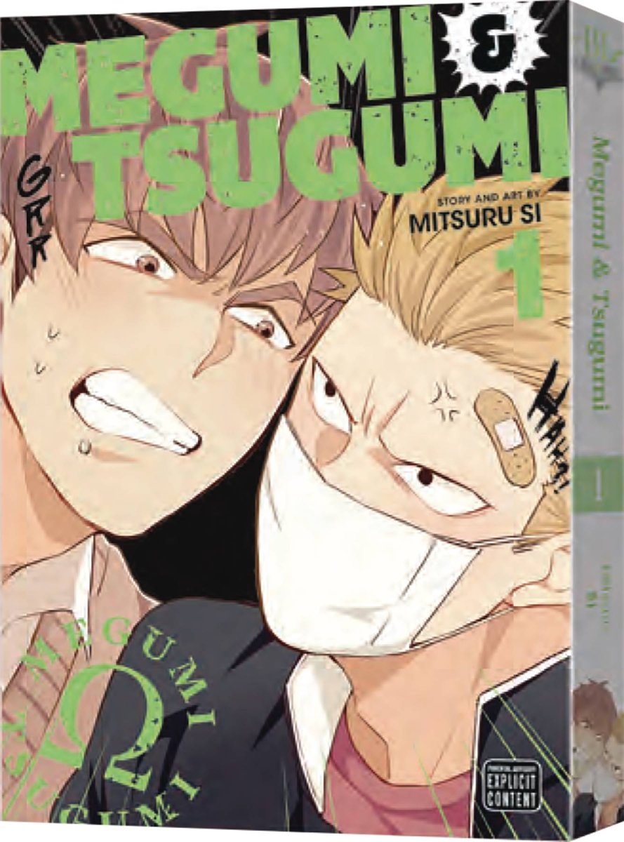 Megumi & Tsugumi GN Vol 01 - Walt's Comic Shop