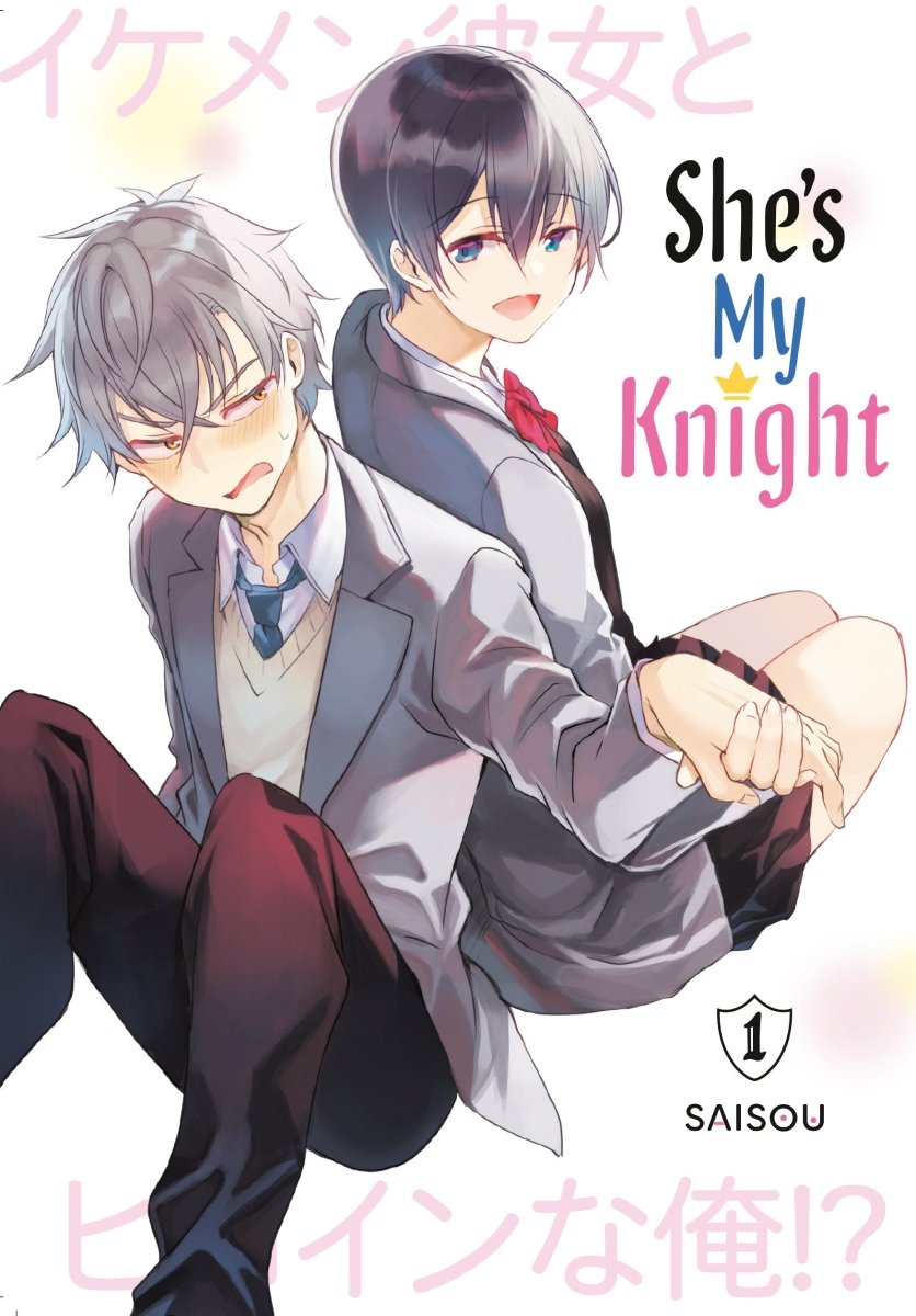 She's My Knight 1 - Walt's Comic Shop