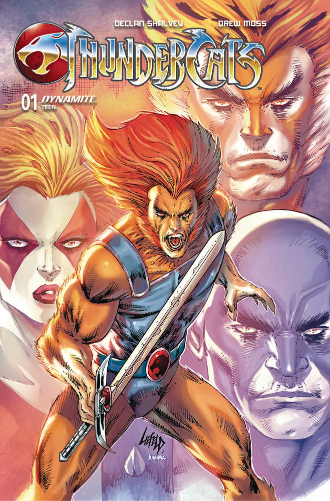 Thundercats #1 Cover Zc Foc Liefeld Original *1 copy per customer* - Walt's Comic Shop