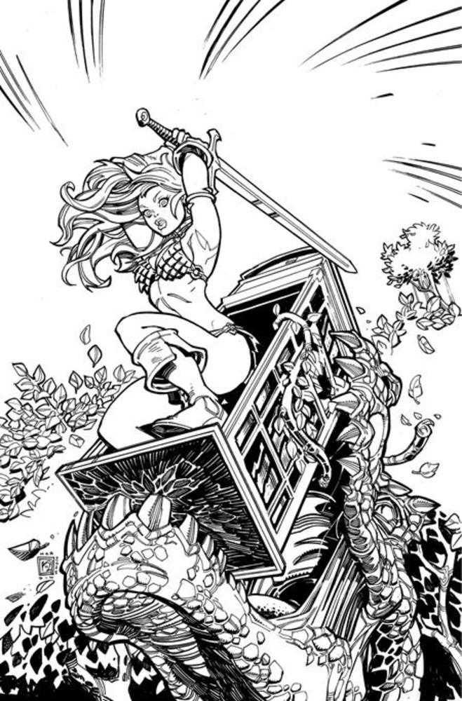 Sonja Reborn #2 Cover J Inc Chad Hardin Line Art Full Art 1:15 Ratio Variant