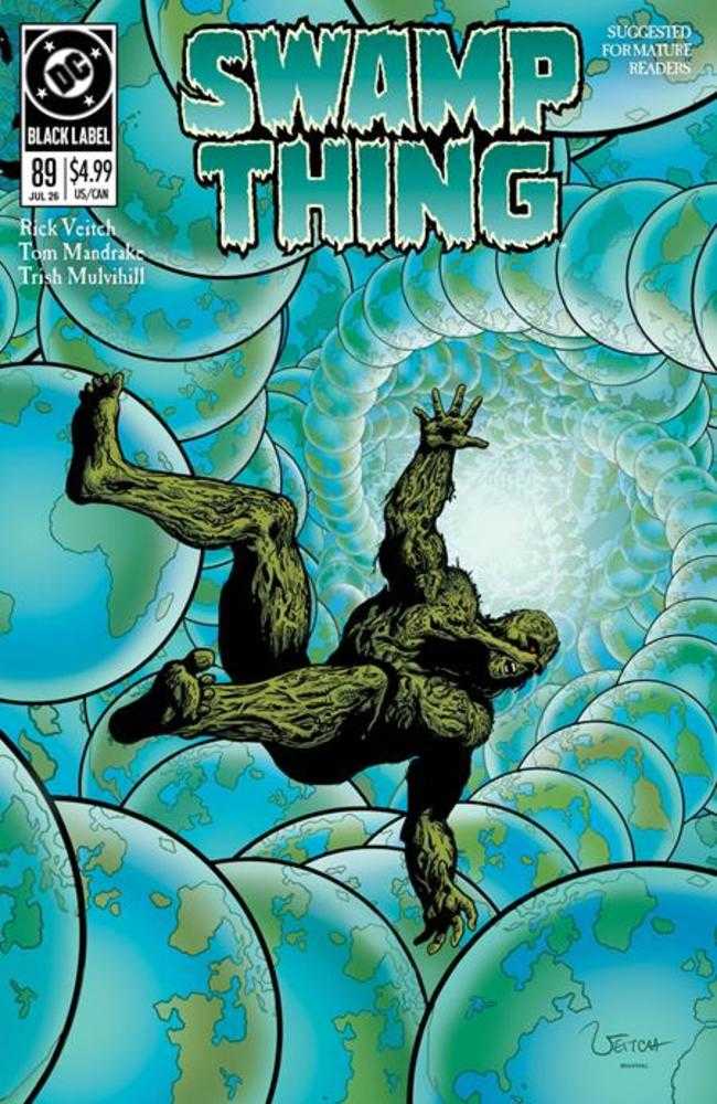 Swamp Thing 1989 #2 (Of 4) Cover A Rick Veitch (Mature) *one copy per customer*