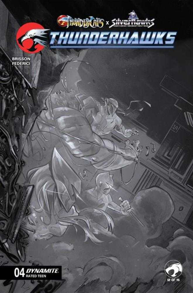 Thundercats X Silverhawks Thunderhawks #4 Cover G Alessandro Ranaldi Full Art 1:10 Ratio Variant