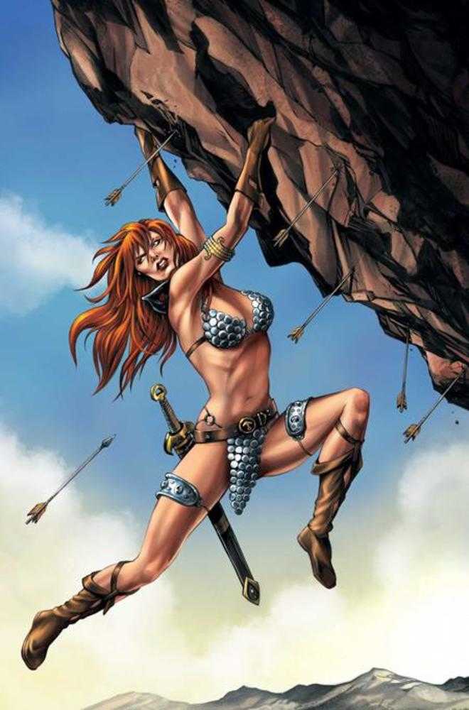 Red Sonja She Devil With A Sword #4 Cover I Mike Rooth Full Art 1:10 Ratio Variant