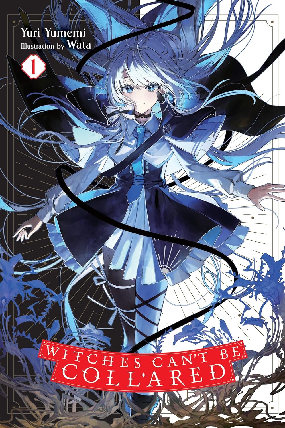 Witches Can't Be Collared Vol. 1 (Light Novel)