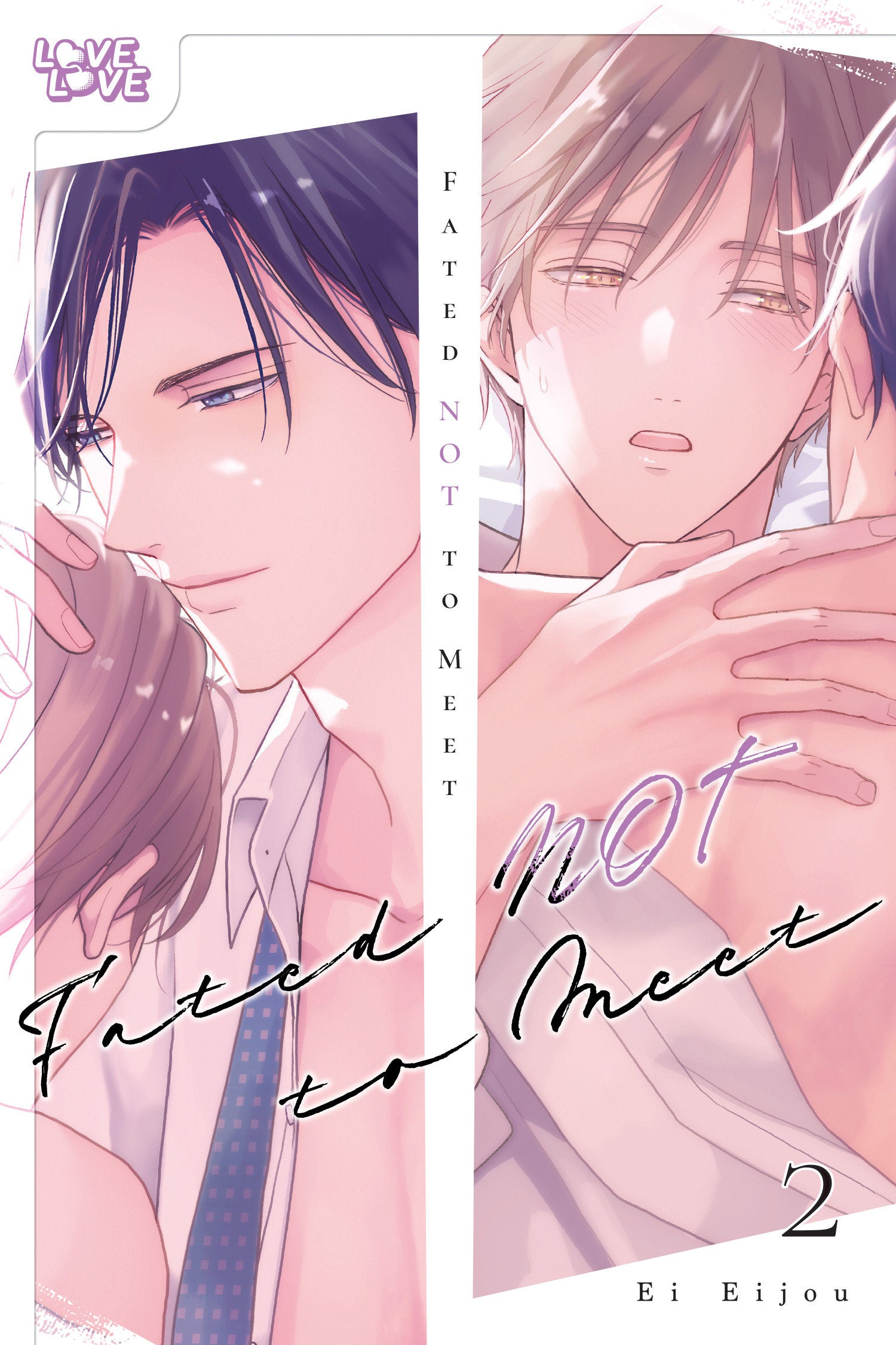 Fated Not To Meet, Volume 2 *PRE-ORDER*