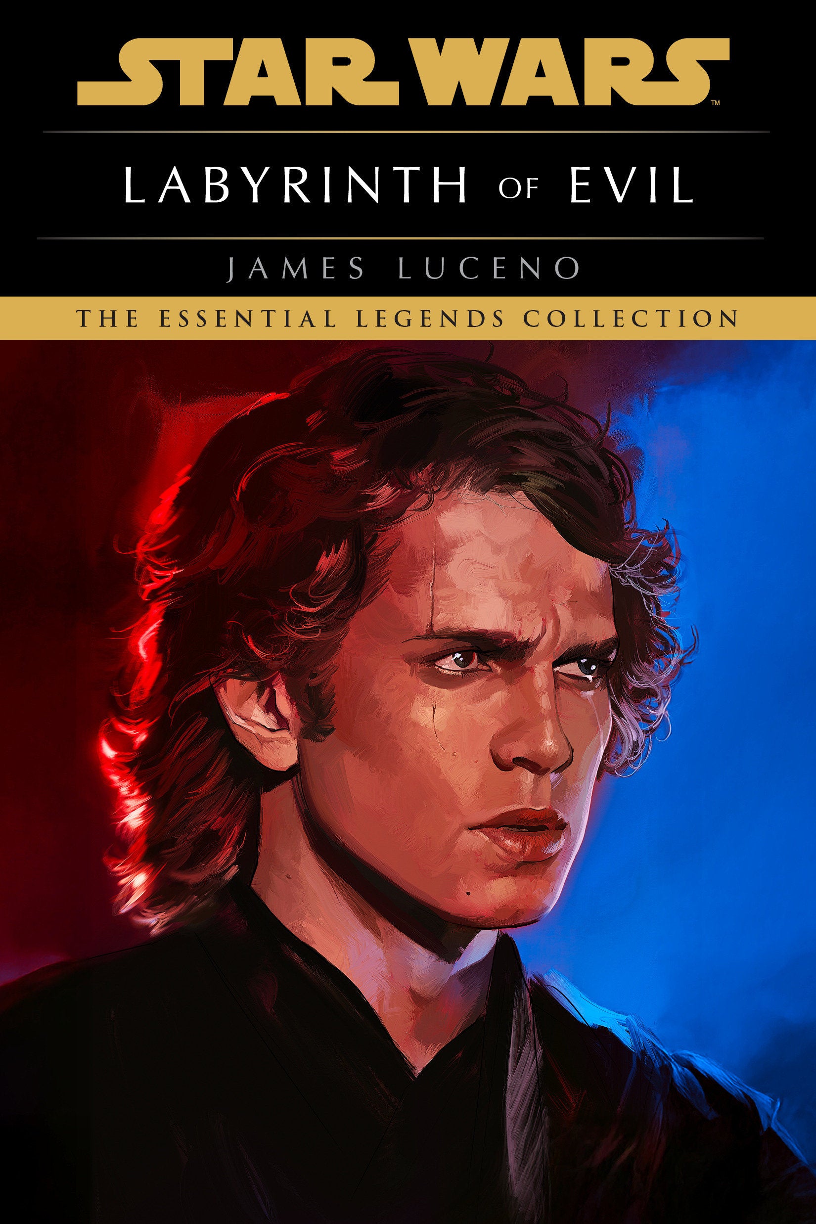 Labyrinth of Evil: Star Wars Legends (Novel)