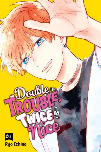 Double The Trouble Twice As Nice GN Vol 01