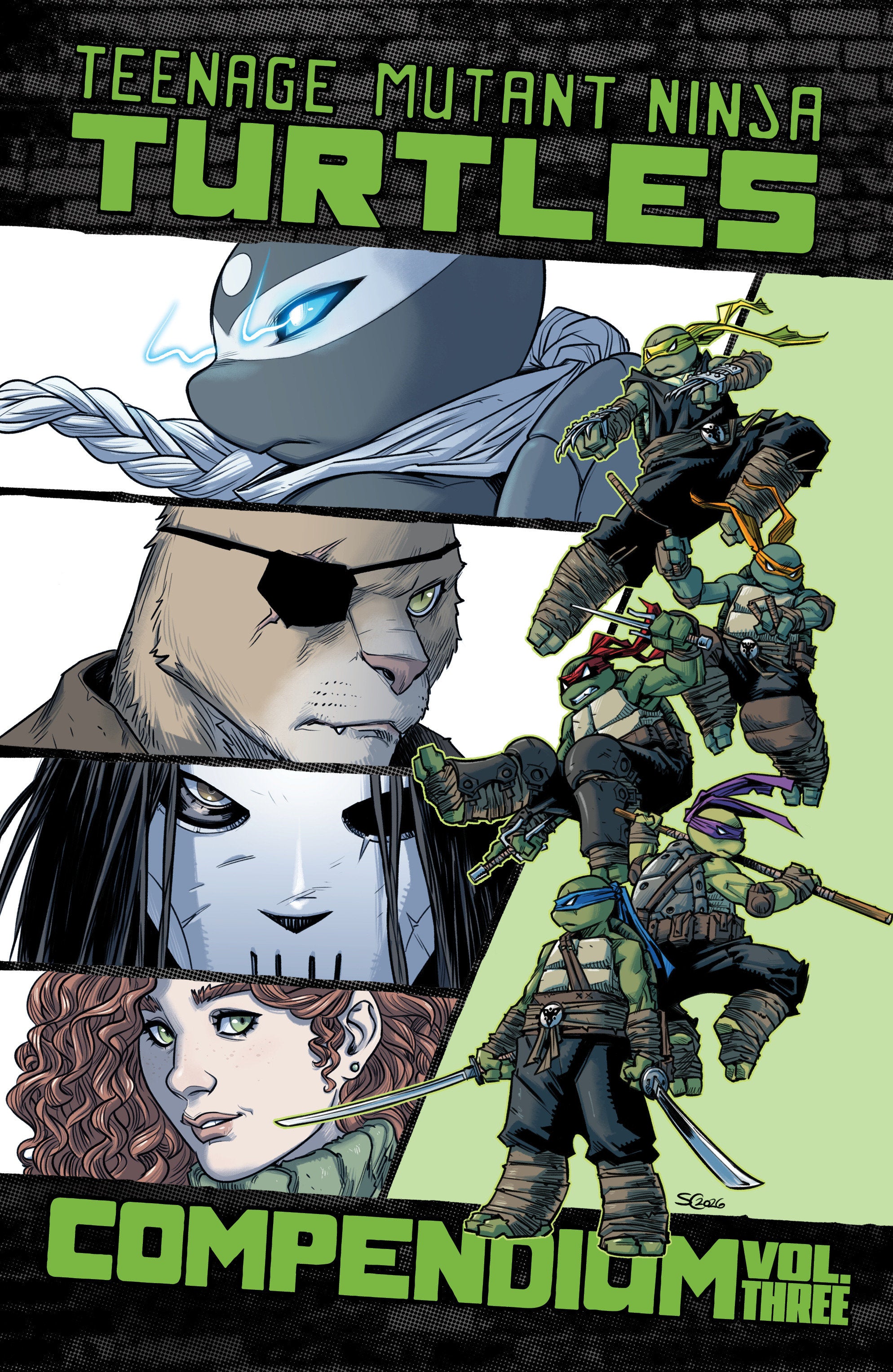 Teenage Mutant Ninja Turtles: Ongoing Compendium, Vol. 3 TP *PRE-ORDER*