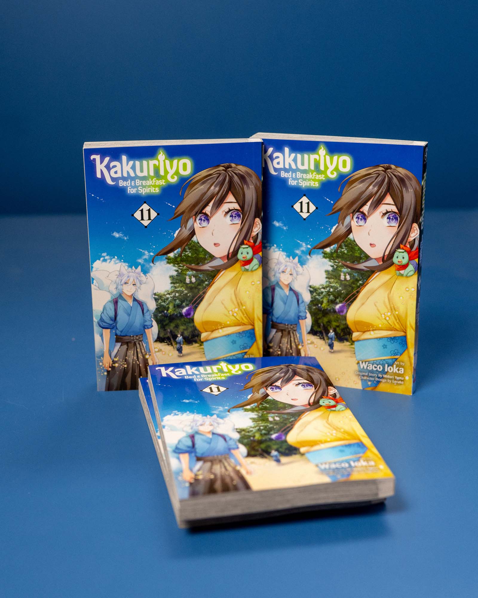 Kakuriyo_Bed_Breakfast_for_Spirits_Vol_11_9781974762743