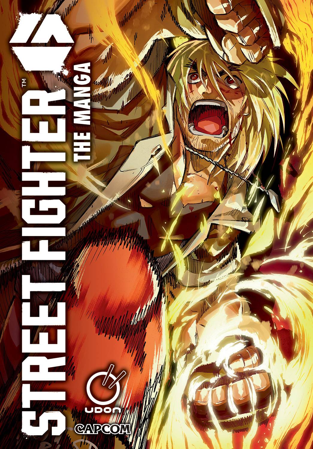 Street Fighter 6: The Manga GN