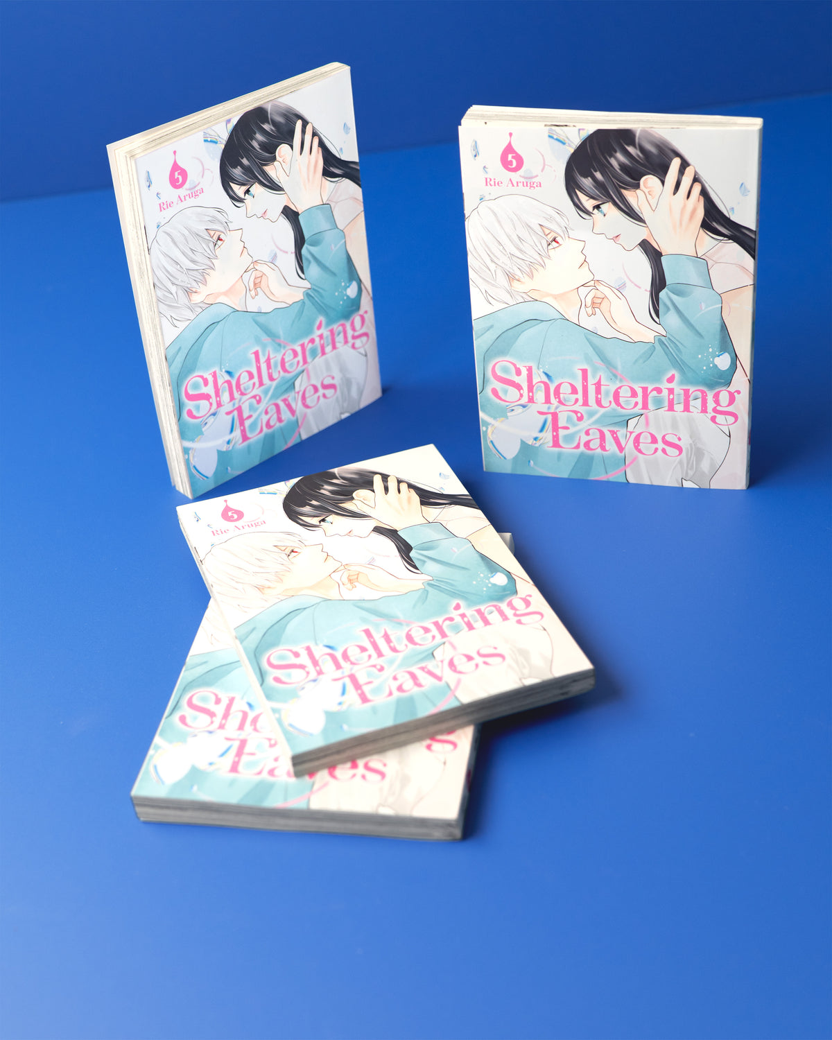 Sheltering_Eaves_5_9798888776308