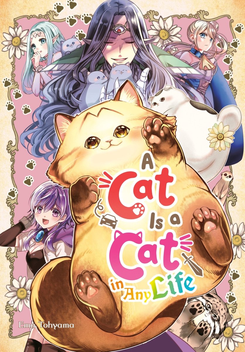 A Cat Is A Cat In Any Life