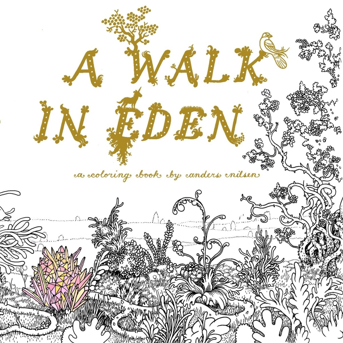 A Walk In Eden: A Colouring Book By Anders Nilsen - Walt's Comic Shop