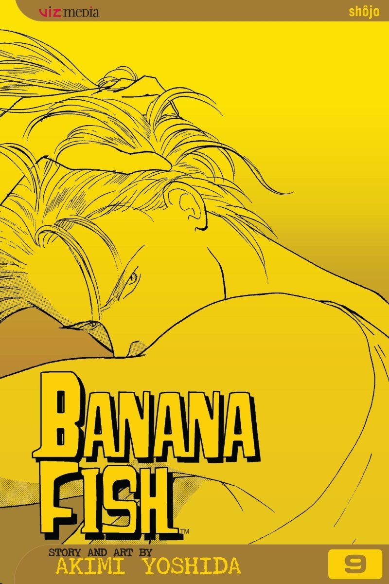 Banana Fish GN Vol 09 *DAMAGED* - Walt's Comic Shop