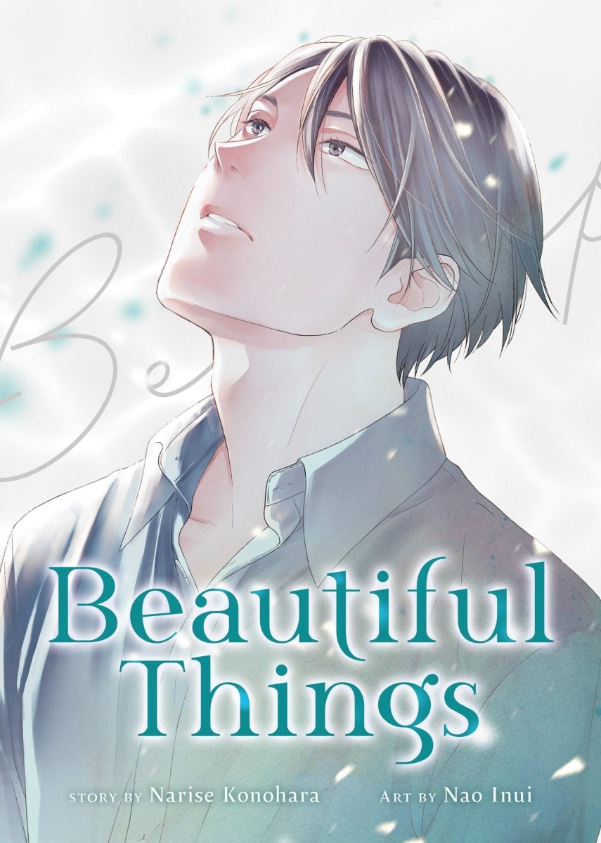 Beautiful Things: The Complete Manga Collection *PRE - ORDER* - Walt's Comic Shop