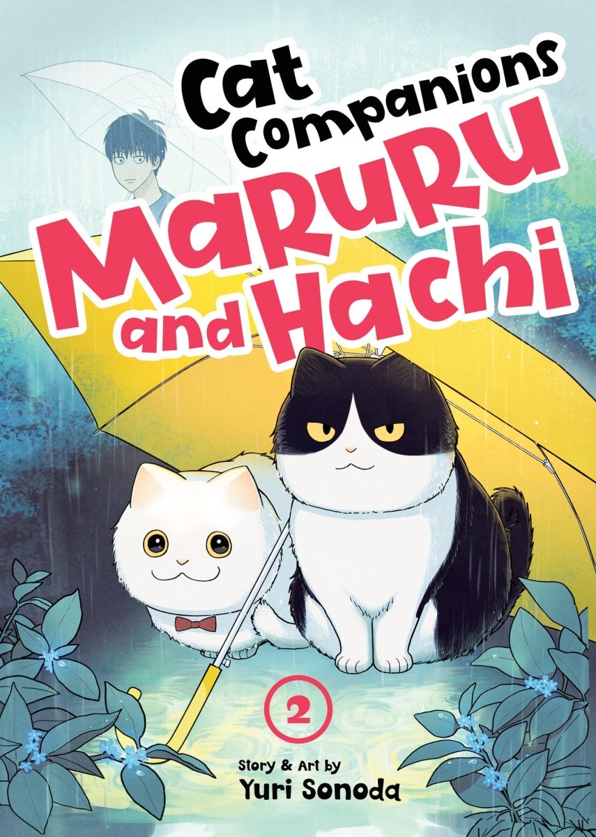 Cat Companions Maruru And Hachi Vol. 2 - Walt's Comic Shop