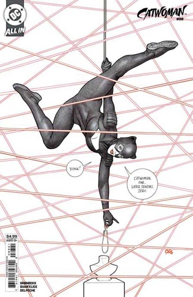 Catwoman 88 Cover B Frank Cho Card Stock Variant - Walt's Comic Shop