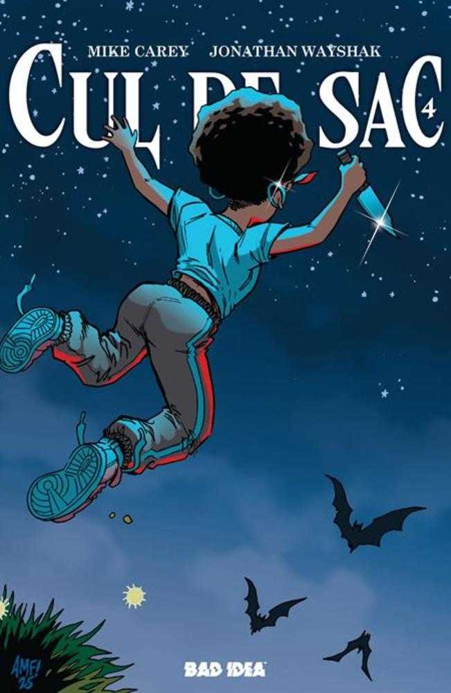 Cul De Sac 4 (Of 5) Cover B Tony Fleecs Cursed Mirror Variant - Walt's Comic Shop