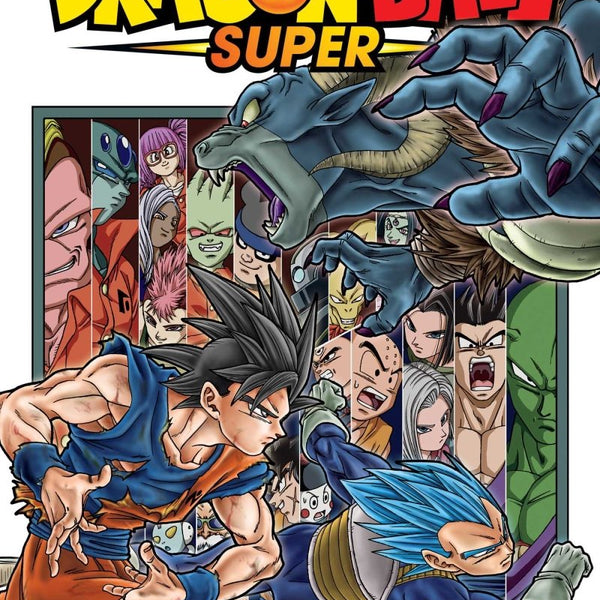 Dragon Ball Super Vol 13