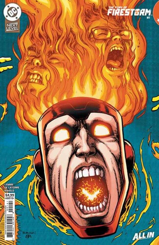 Fury Of Firestorm 1 (Of 6) Cover C Chris Burnham Card Stock Variant - Walt's Comic Shop